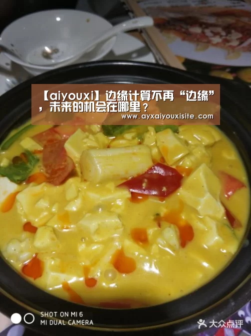 【aiyouxi】边缘计算不再“边缘”,未来的机会在哪里?(图2) 【aiyouxi】边缘计算不再“边缘”,未来的机会在哪里?(图2)