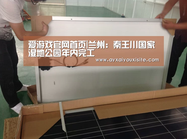 爱游戏官网
