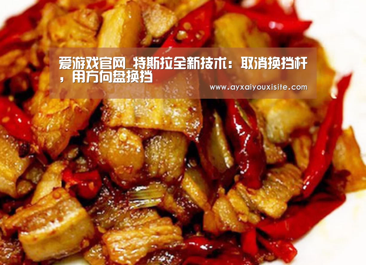 爱游戏官网_特斯拉全新技术:取消换挡杆,用方向盘换挡(图1) 爱游戏官网_特斯拉全新技术:取消换挡杆,用方向盘换挡(图1)